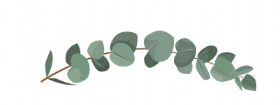eucalyptus leaves