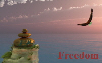 Freedom of Expression