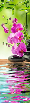 tall orchids in water